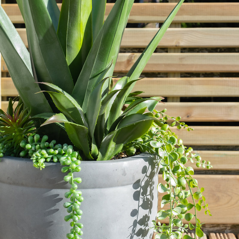 Aaru 67cm Faux Agave Succulent