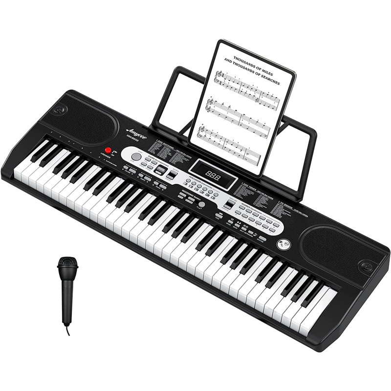 61-Key Portable Keyboard Piano, with Detachable Microphone, Charger, Electric Keyboard Teaching