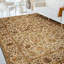 Indoor Rug