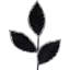 Choix floral saisonnier Northlight