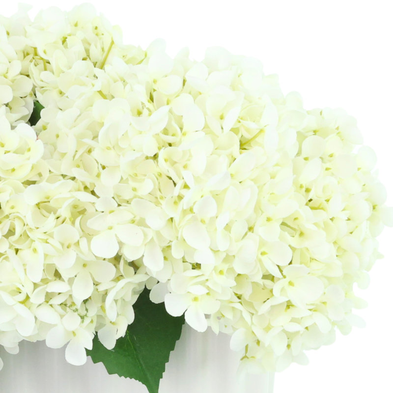 Hydrangeas in Pleated Ceramic Vase