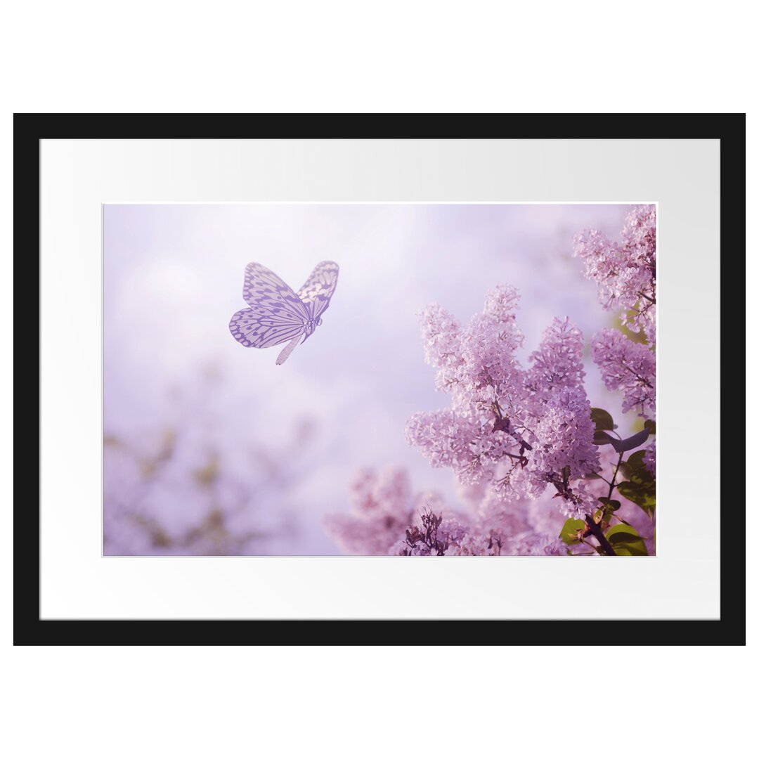 Gerahmtes Poster Schmetterling Kirschblüten