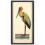«Crane», impression encadrée sur papier
