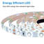 Caedance Round Wall Mirror-439089312