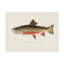 Art sur toile Sherman F. Denton-103086104