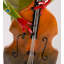 Frog Musician