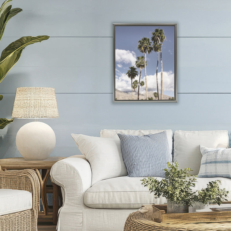 Cadre flottant Palm Springs, dessiné par Danita Delimont, H 21 po x l 17 po, Cadre flottant gris lustré