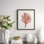 Red Coral Illustration IV Giclee Print