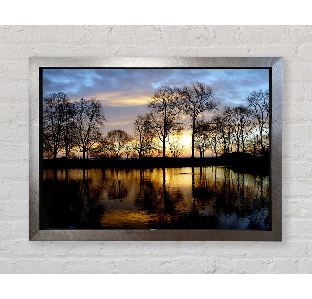 Woodland Lake At First Light - Einzelner Bilderrahmen Kunstdrucke