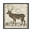 « staging », impression sur toile tendue Regal-74876503-74876504-19754621