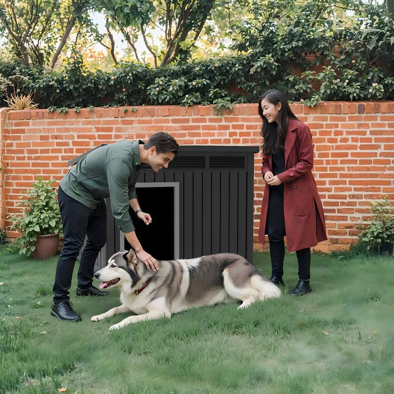 Dog House for Small to Medium Pets, Black