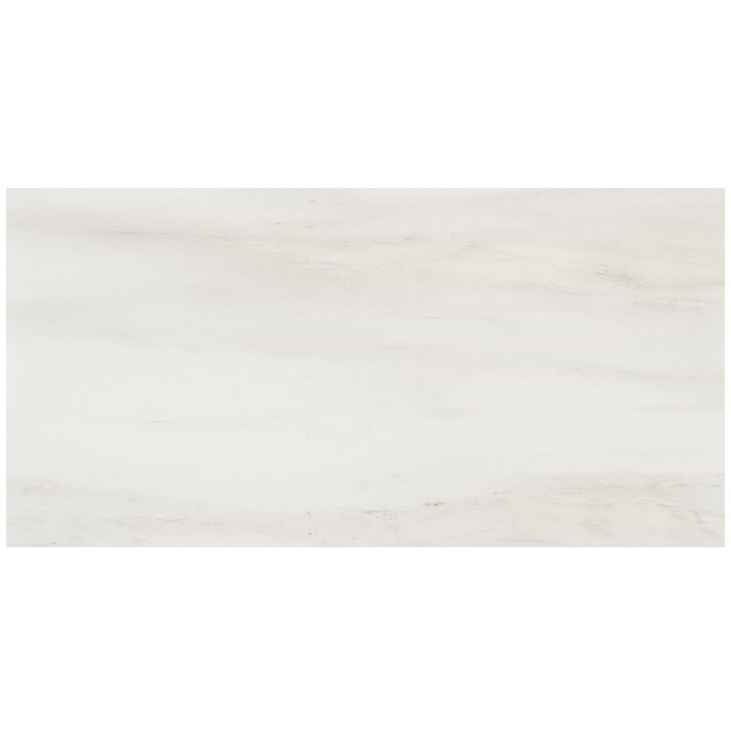 Dreamstone 12X24 Matte Porcelain Tile, Dolomite Snow Matte