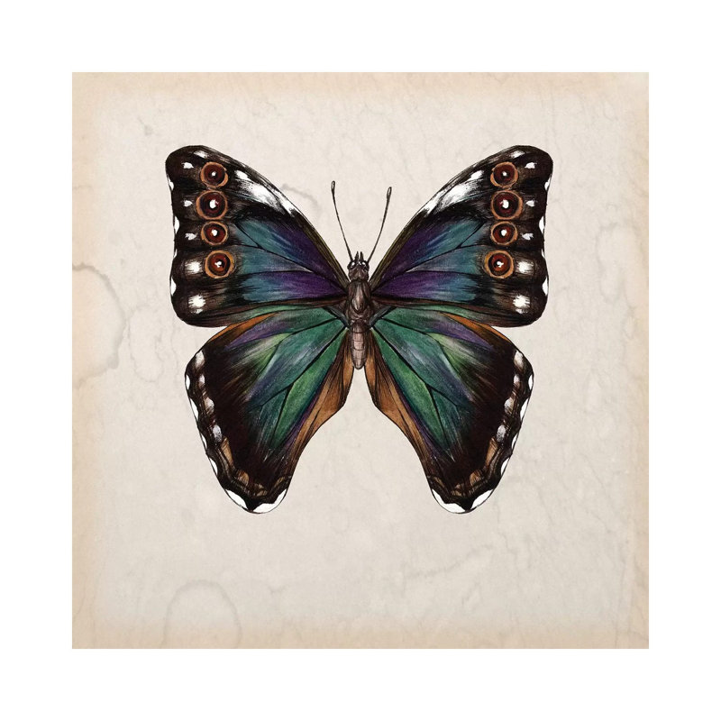 Butterfly Study III by Melissa Wang - Wrapped Canvas Painting, 45.72 cm H x 45.72 cm W