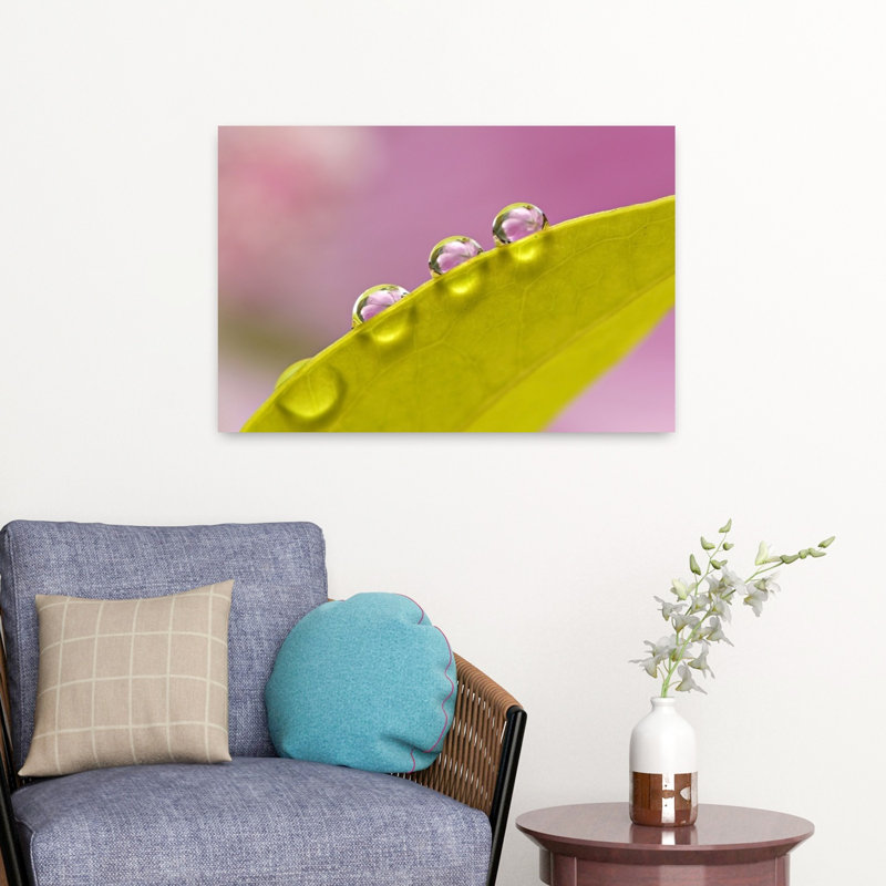 «Three Drops Delicate Minimalist Tranquil Nature Landscape Art», H 16 po x l 24 po