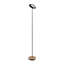 Royyo LED Floor Lamp-371297279