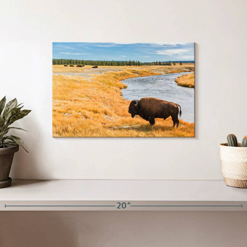 Brampt National Park Bison, 8" H x 12" W