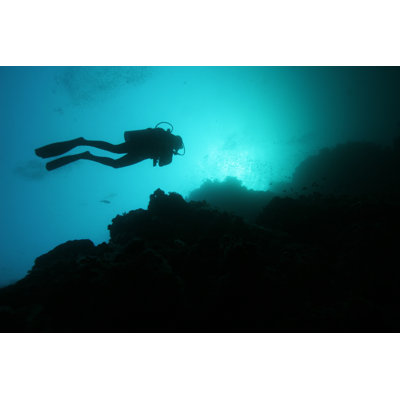 Silhouette d'un plongeur sous l'eau par Cdascher