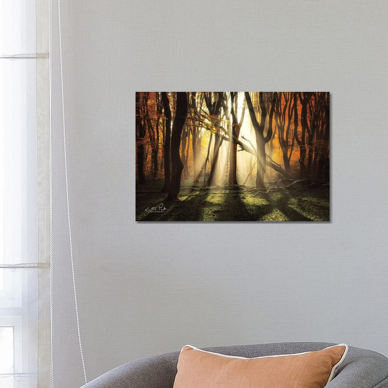 The Awakening by Martin Podt - Wrapped Canvas Print, 66.04 cm H x 45.72 cm W x 3.175 cm D