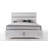Ilijan Low Profile Storage Standard Bed-1558419510-1604371566