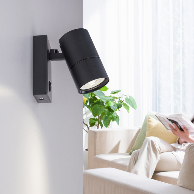 Mallaury Spotlight, Black