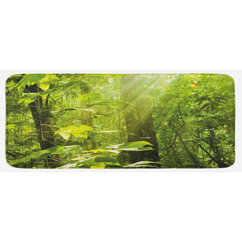Tapis de cuisine nature