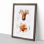 Octopus Illustrations by Albert I - Framed Print-55617690-55617691