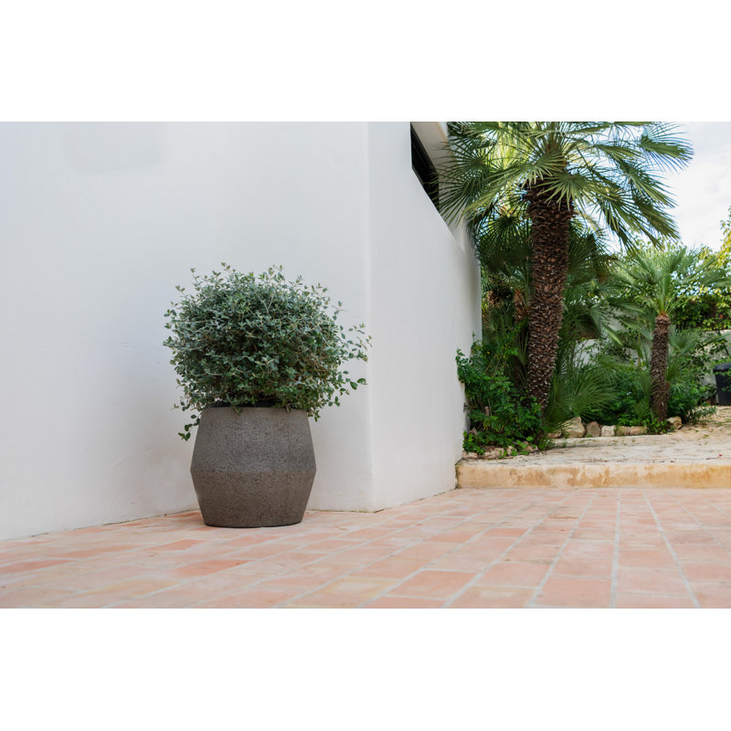 Round Stone Pot