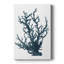Coral Souvenirs IV - Gallery Cavas-1095930020