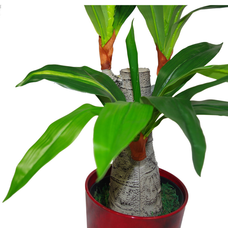 Anivea 75cm Faux Dracaena Tree in Pot