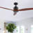 Kandida 52'' Ceiling Fan