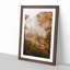 Light Through the Forest in Abstract - Picture Frame Graphic Art Print-55772014-55772015