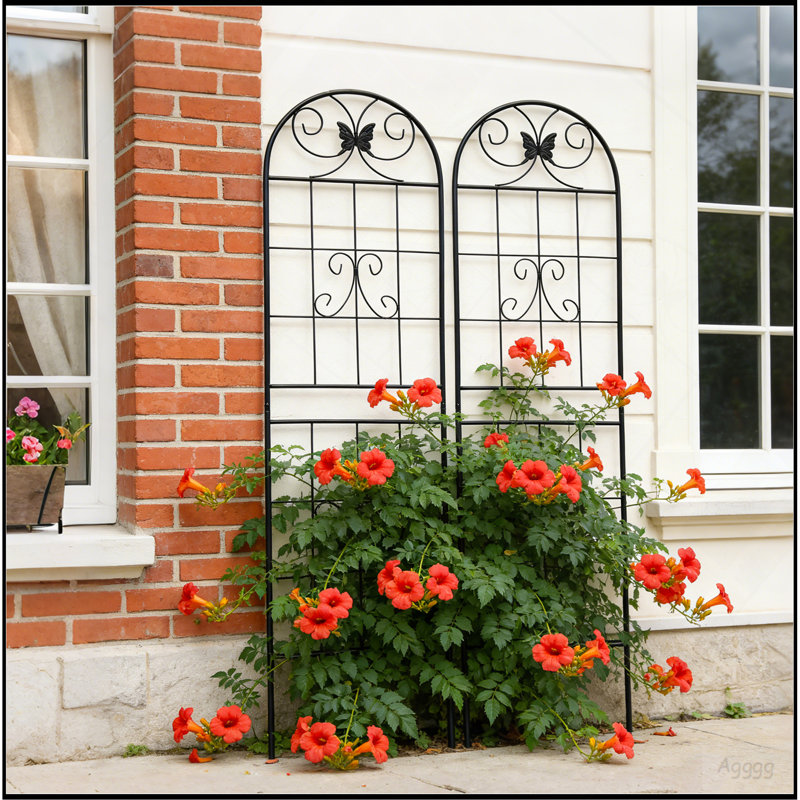 Ensemble de 2 treillis de jardin en métal 71 po x 19,7 po antirouille pour plantes grimpantes