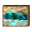 Ensemble de bois de poisson tropical Speidel-1814527816