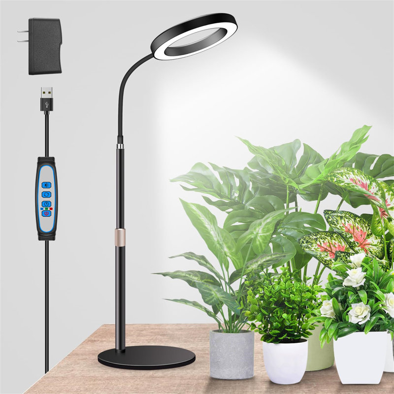 Naomi Grow Light