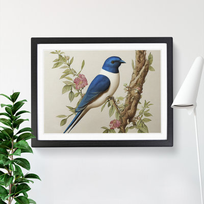 Watercolour Swallow Bird Vol.3 - Single Picture Frame Print