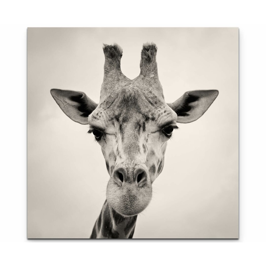 Leinwandbild Kopf einer Giraffe