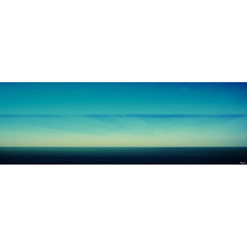 Parvez Taj - Wrapped Canvas Print, 38cm H x 114cm W