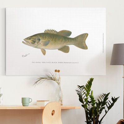 " Small-Mouthed Black Bass "