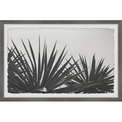Blue Agave - Single Picture Frame Painting