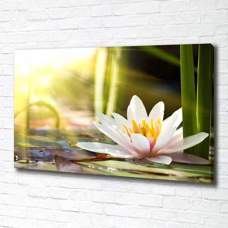 Water Lily - Wrapped Canvas Print