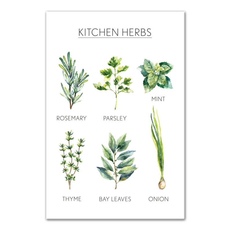 « aquarelle, herbes de cuisine », impression sur toile