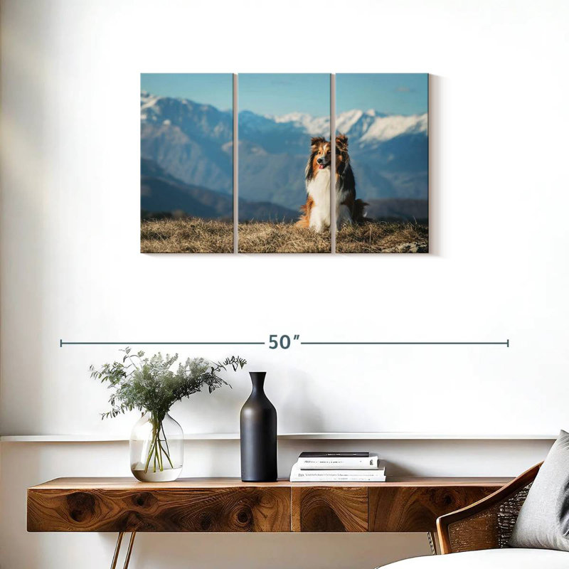 Brampt Shetland Sheepdog, 20" H x 33" W