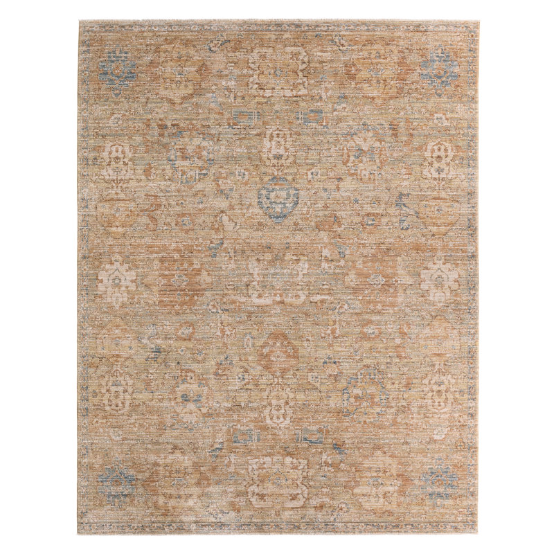 Tapis oriental brun clair / bleu Label J Valdora STN04 (4 pi x 6 pi), Rectangulaire 6 pi x 4 pi