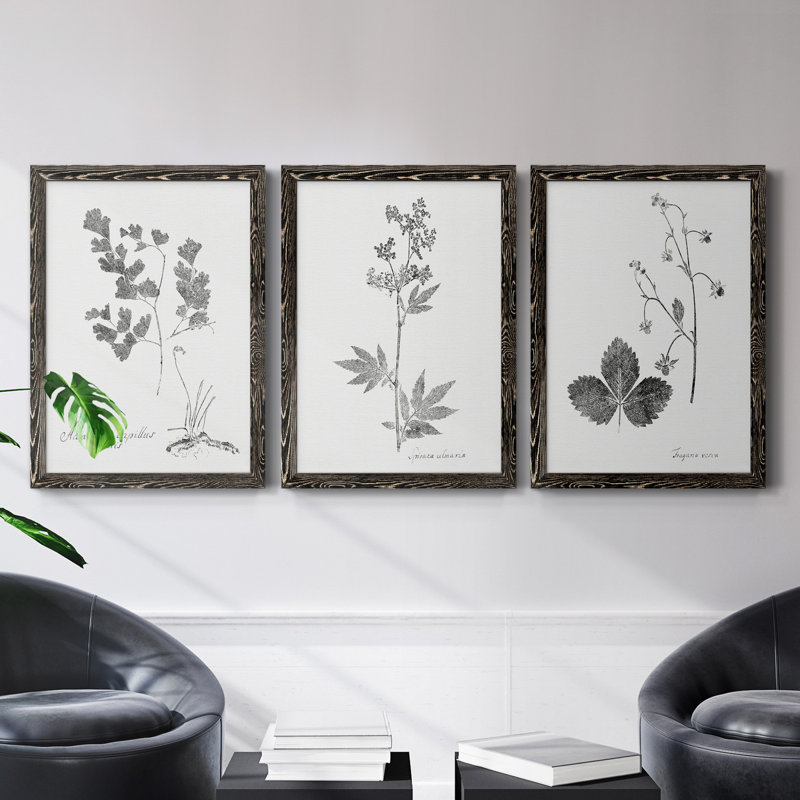 «Botanical Imprint I», ensemble de 3 peintures sur toile encadrées, H 31,5 po x l 47 po x P 1,5 po, Toile avec cadre noir