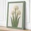 White Alliums Botanical - Wrapped Canvas-1986611699-1986611700