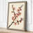 Taupe Border