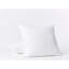 Reyes Pillow Sham-55649437-55649438