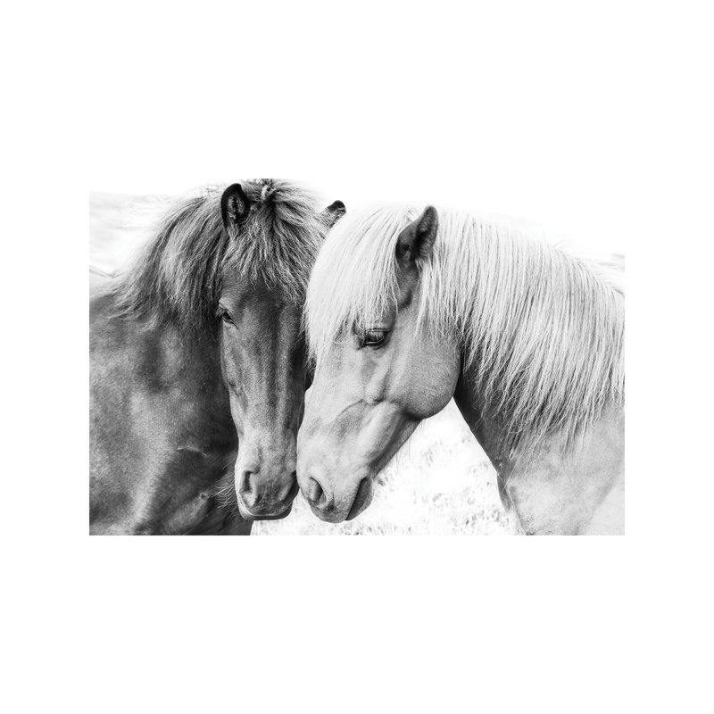 Horse Love - Wrapped Canvas Print, 101.6 cm H x 66.04 cm W x 1.91 cm D
