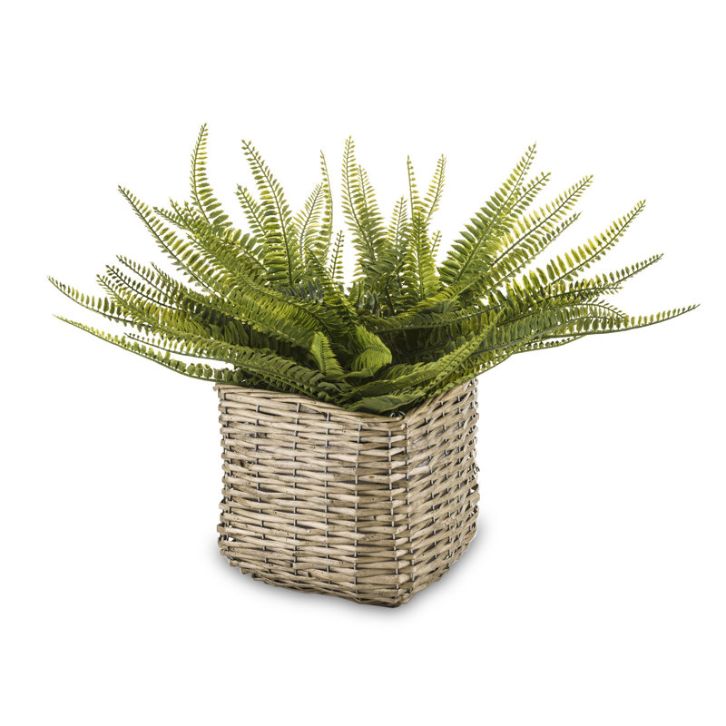 45cm Faux Evergreen Plant in Wicker/Rattan Pot