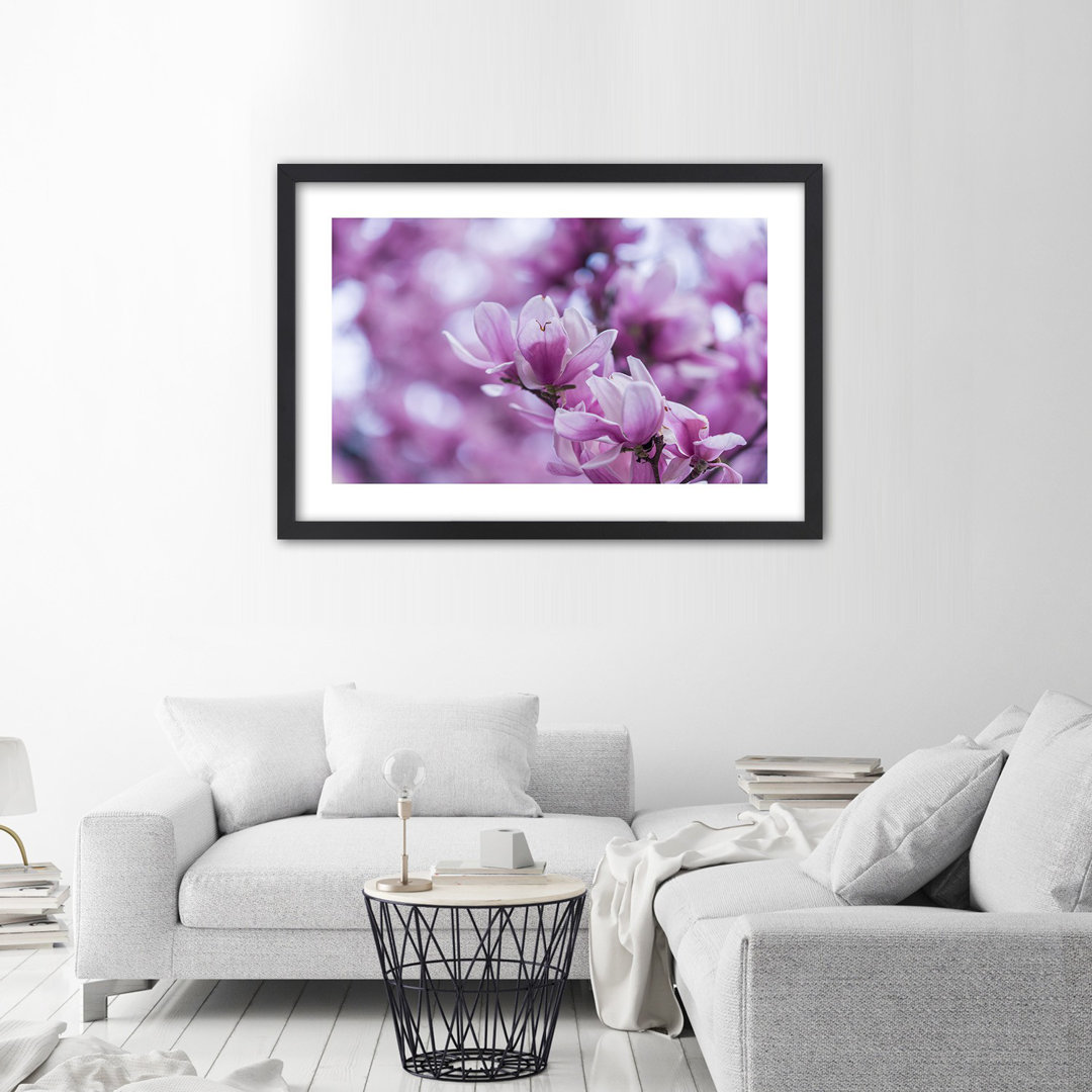 Gerahmtes Poster Magnolia Flowers